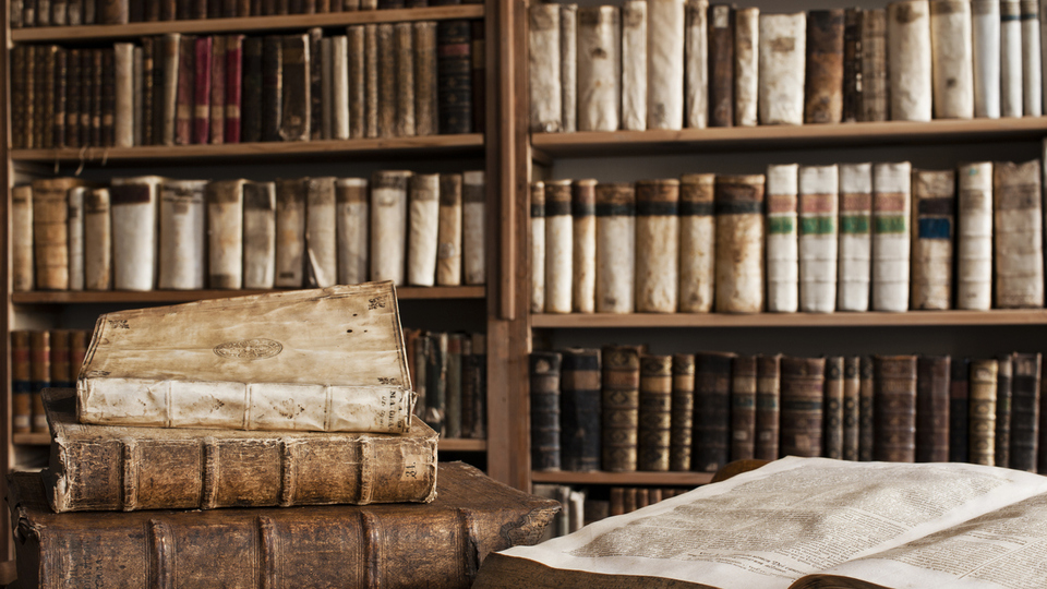 Tarih Bölümü Nedir?