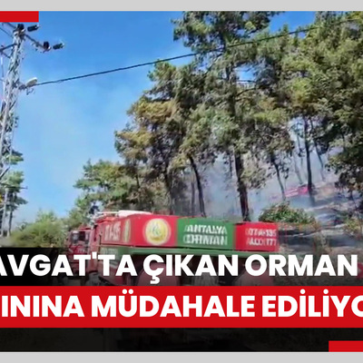 Manavgat'ta çıkan orman yangınına müdahale ediliyor