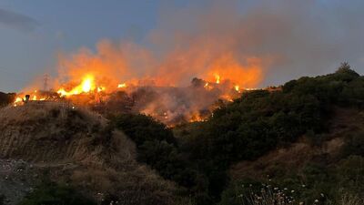 Bir kene 120 dönüm alanı küle çevirdi