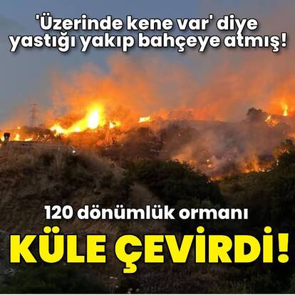 Bir kene 120 dönüm alanı küle çevirdi