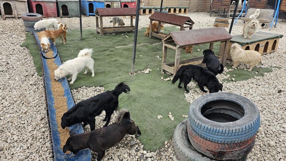 Her sayı, mamaya dönüştü