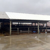 Tüm hayvan pazarları kapatıldı