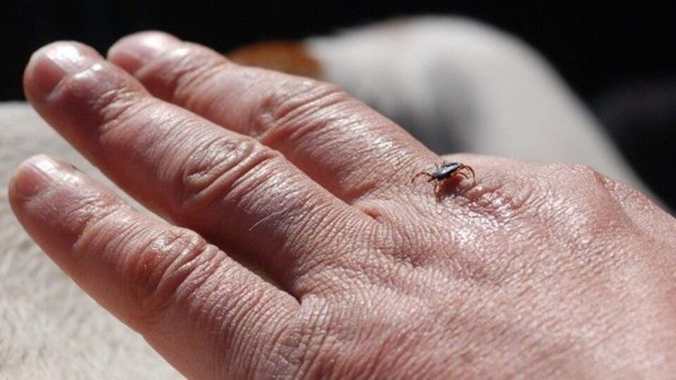 Halk sağlığı uzmanından KKKA uyarısı!