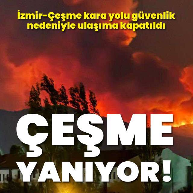 Alevler bu kez Çeşme'de! Yazlıkların olduğu alanda alarm!