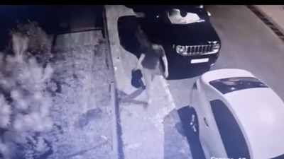 Babalarının kanının bulaştığı eşyaları attılar!