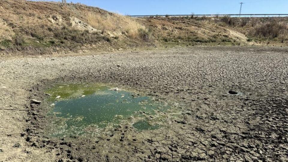 Çakıl Göleti'nde balıklar öldü