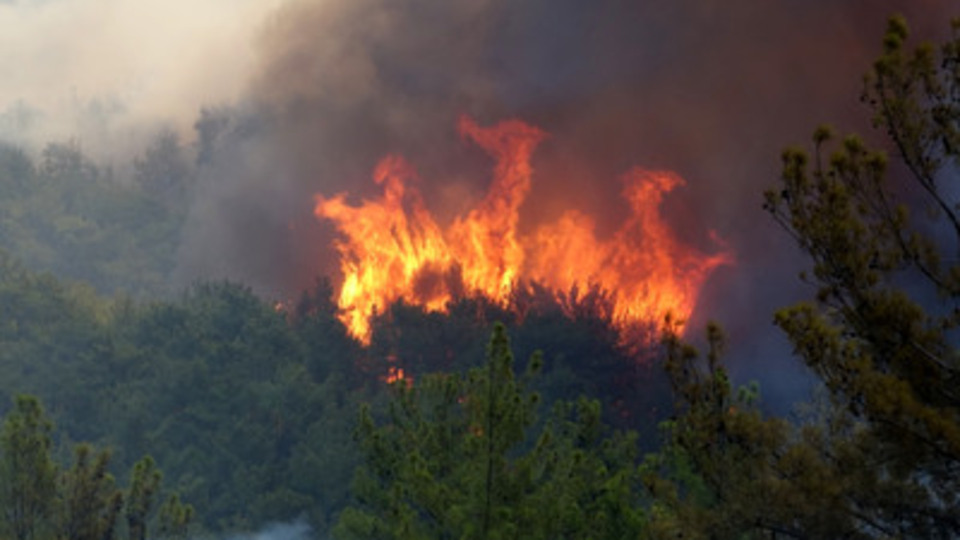 Ünlüler üzüntülerini dile getirdi