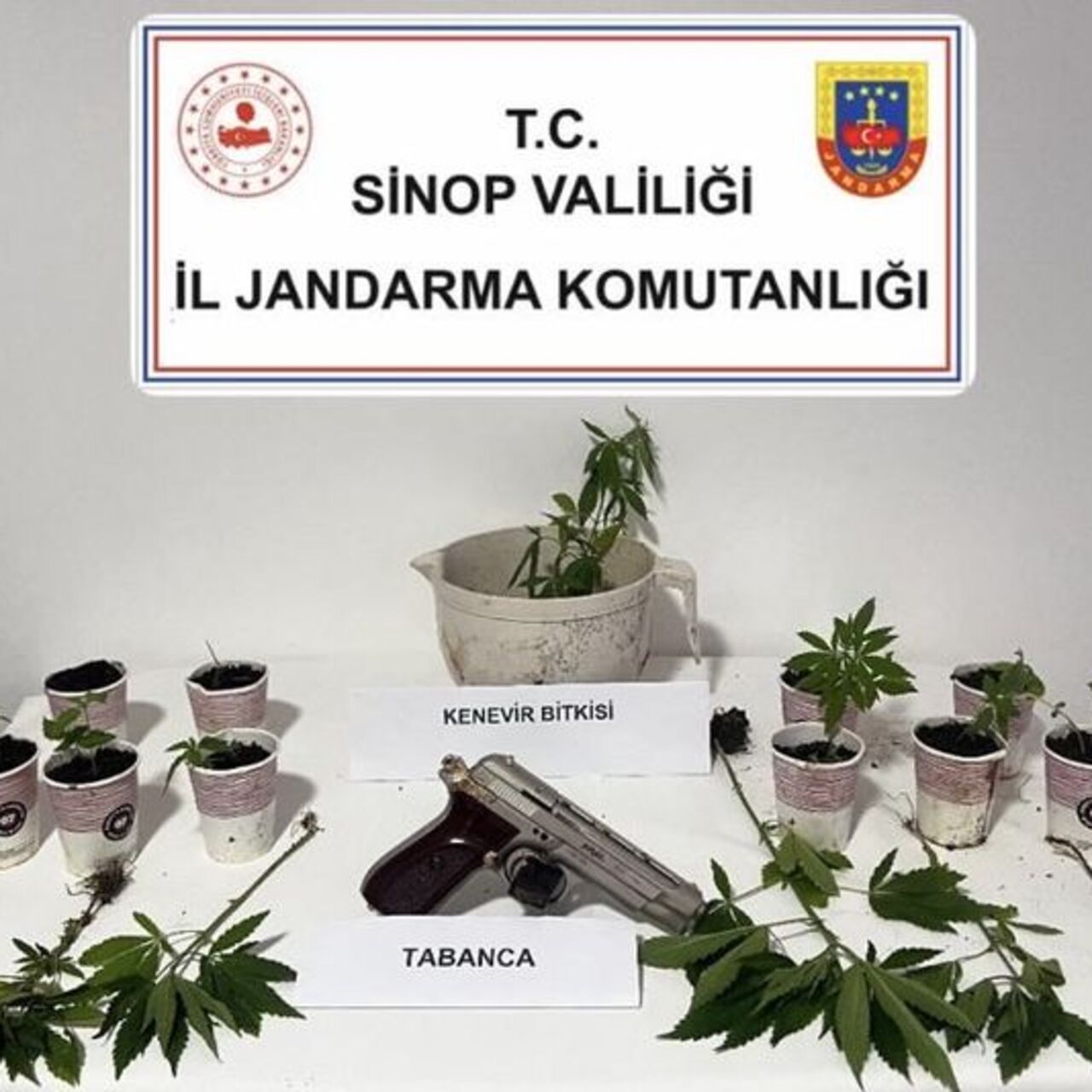 Sinop'ta uyuşturucu operasyonu: 4 gözaltı