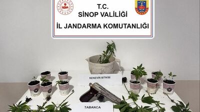 Sinop'ta uyuşturucu operasyonu: 4 gözaltı
