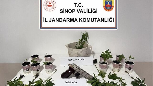 Sinop'ta uyuşturucu operasyonu: 4 gözaltı