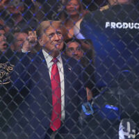 Trump: Beyaz Saray'da UFC dövüşü yapacağız