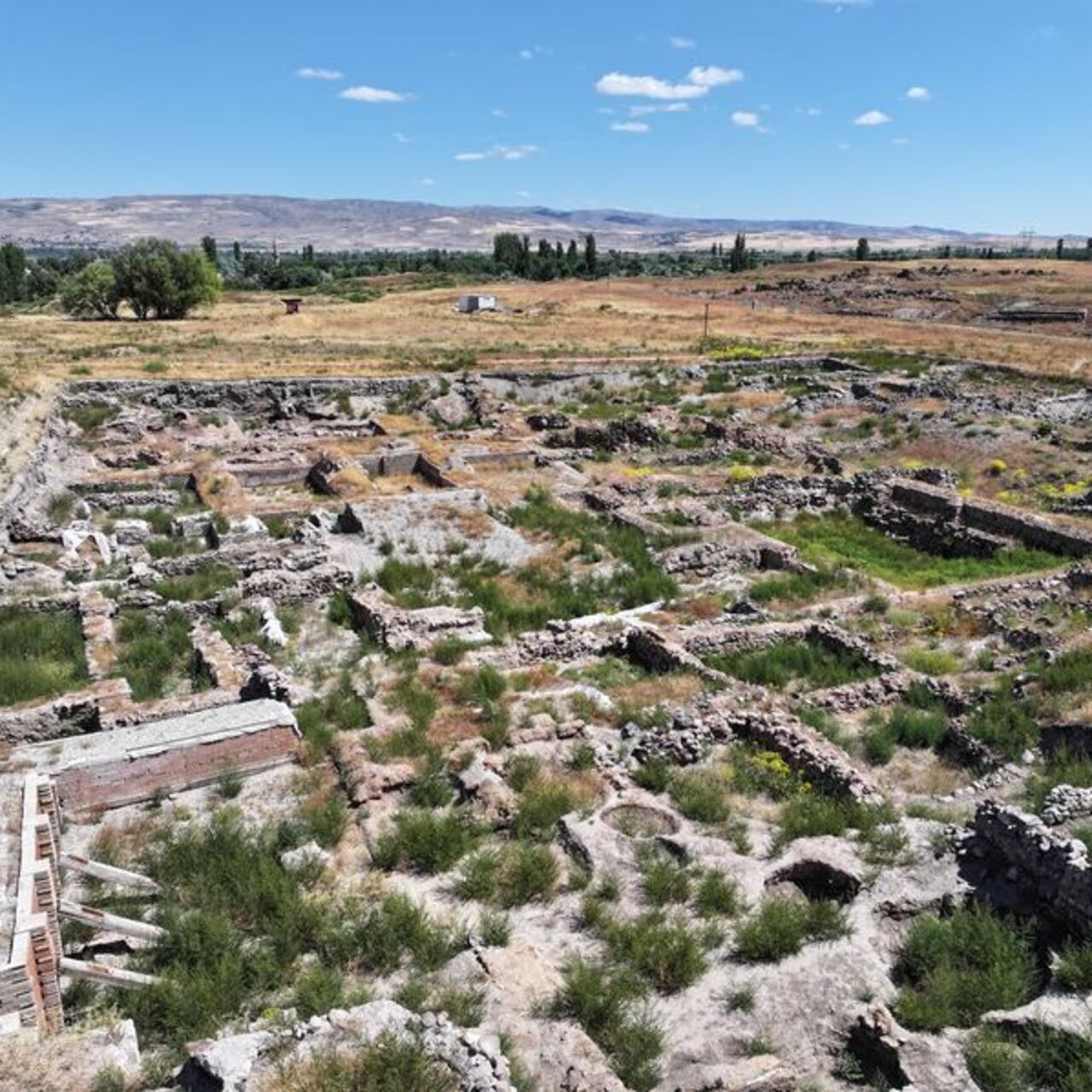 25 ülkeden bilim insanları Kayseri'de iz sürüyor