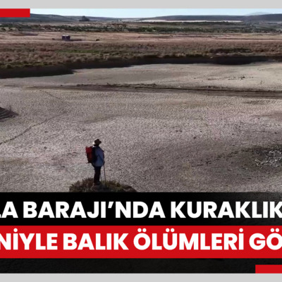 İbrala Barajı’nda kuraklık nedeniyle balık ölümleri görüldü