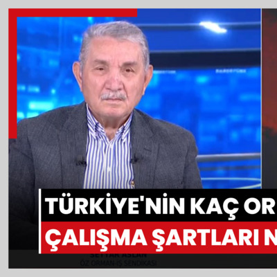 Türkiye'nin kaç orman işçisi var? Çalışma şartları neler?