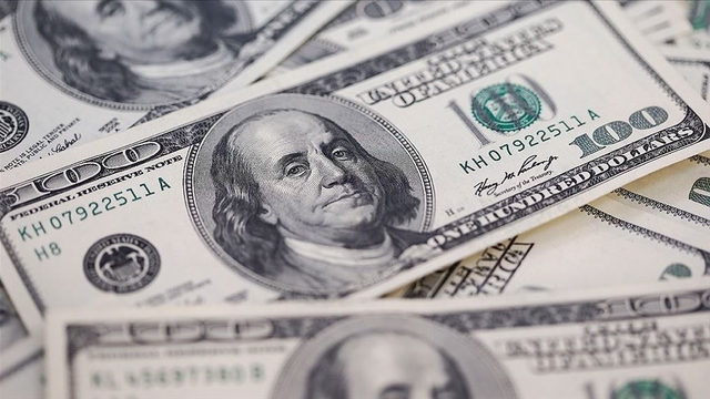 TL'nin reel değerinde gerileme