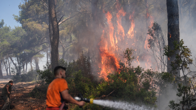 Alevlerle mücadele eden orman işçilerinin talepleri neler?