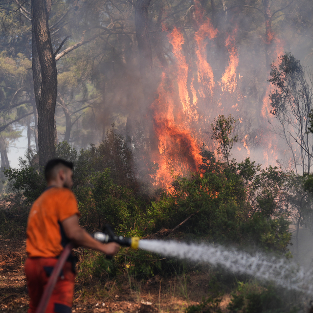 Alevlerle mücadele eden orman işçilerinin talepleri neler?