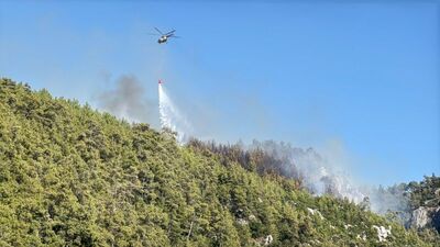 Milas'ta ikinci orman yangını başladı
