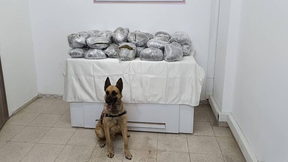 Bingöl'de 49 kilo 600 gram esrar ele geçirildi