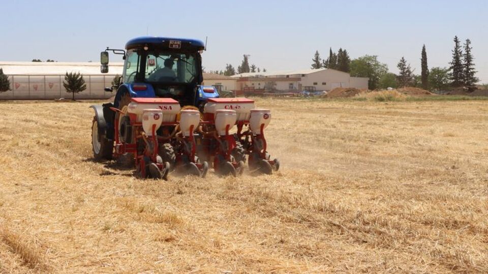 Şanlıurfa'da anıza mısır ekimi yapıldı