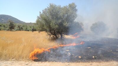 Milas'ta ikinci orman yangını başladı