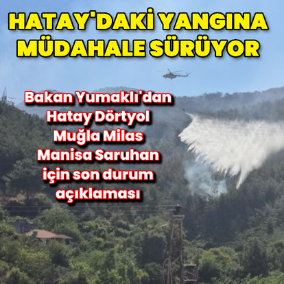 Hatay'daki yangına müdahale sürüyor