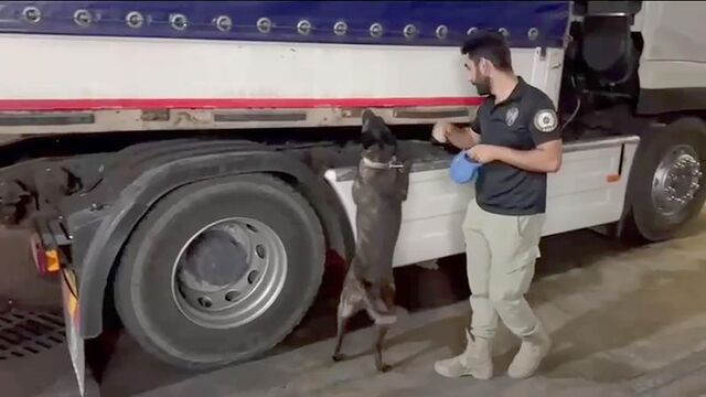 Yapancı plakalı TIR'dan 344 kilo uyuşturucu çıktı