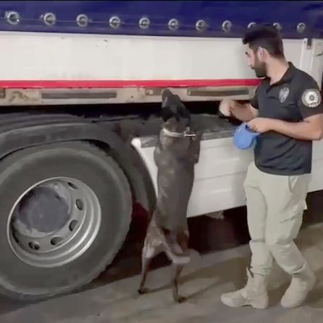 Yapancı plakalı TIR'dan 344 kilo uyuşturucu çıktı