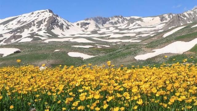Uzağımızın yakınındaki k&ouml;y!
