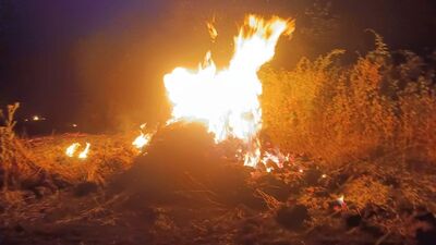 Otluk alandaki yangın ormana sıçradı