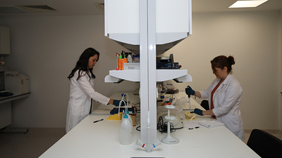 Akdeniz Üniversitesi organ nakillerinde kullanılan ilaç ve malzemelerin üretimi için çalışacak