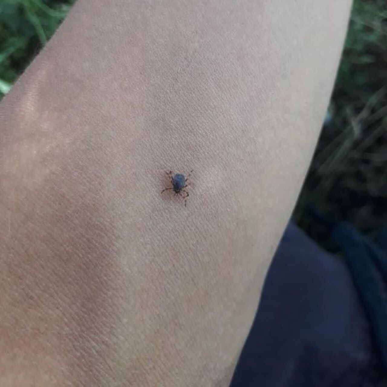 Keneye karşı 'dışarıda uyumayın' uyarısı!