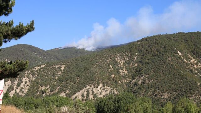 4 ilde orman yangını