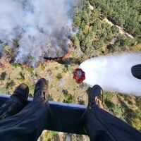 Almanya'nın üç eyaletinde orman yangını!