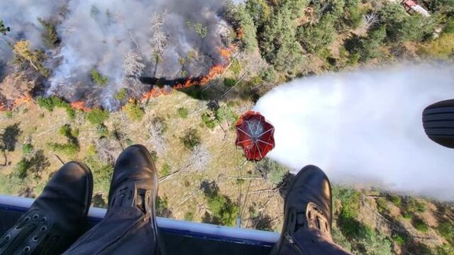 Almanya'nın üç eyaletinde orman yangını!