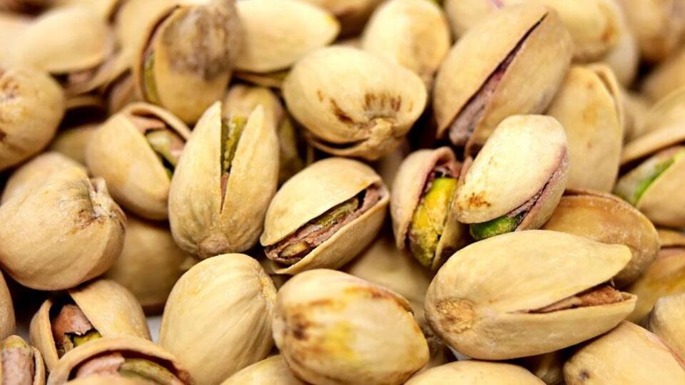 Antep fıstığı ihracatı 113 milyon doları aştı