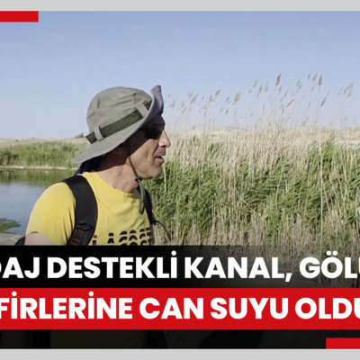 Tuz Gölü'ne açılan sondaj destekli kanal, gölün misafirleri flamingolara can suyu oldu