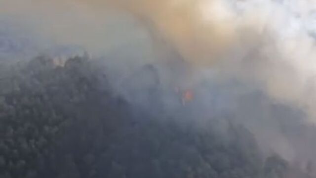 Balıkesir'de orman yangını