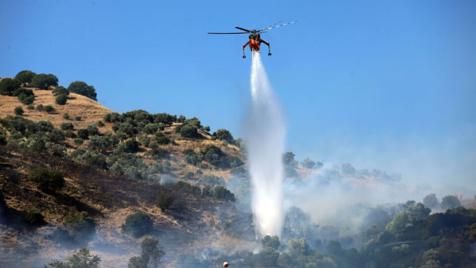 Zeytinlik alanı jeneratör yaktı! 2 gözaltı!