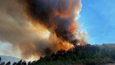 3 ilde orman yangını