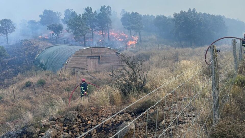 Marsilya yakınlarında yangın