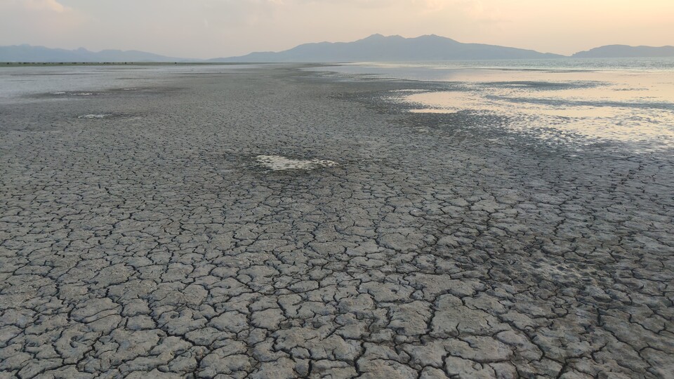 BM raporu: Türkiye'nin yüzde 88'i çölleşme riskiyle karşı karşıya