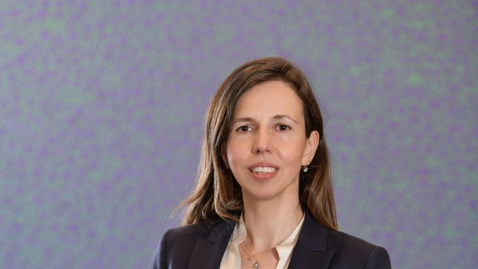 pladis Hızlandırma Programı'na katılacak 12 yenilikçi girişim belli oldu