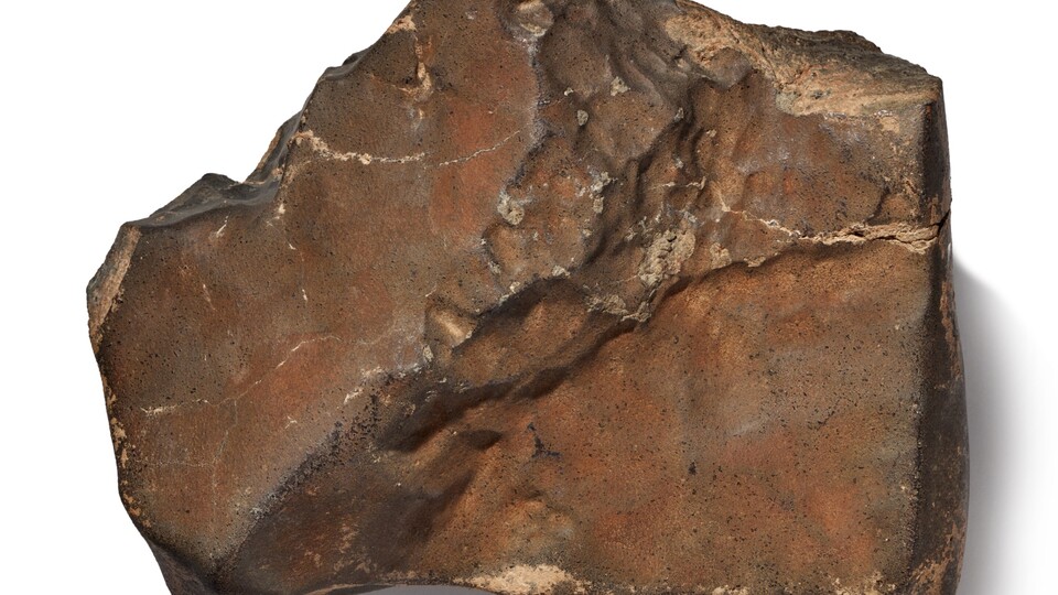 Mars taşı satışa çıkıyor