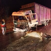 Yola aniden fırlayan geyik ölüme yol açtı!