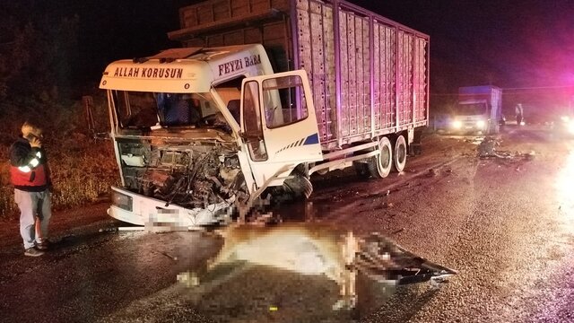Yola aniden fırlayan geyik ölüme yol açtı!