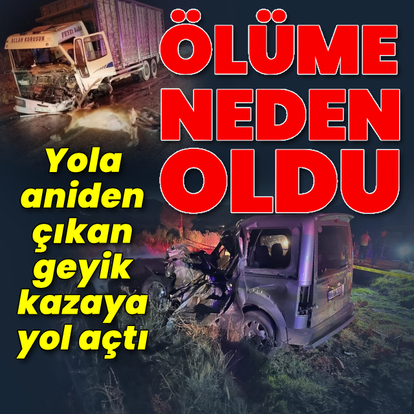 Yola aniden fırlayan geyik ölüme yol açtı!