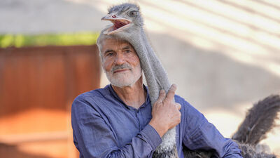 Firari deve kuşu 'Hüdhüd'e eş bulundu