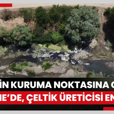 Tunca Nehri'nin kuruma noktasına geldiği Edirne’de, çeltik üreticisi endişeli