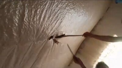 Evin tavanında yılan yuvası çıktı